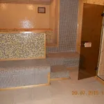 Femili Diveda Hotell 2*